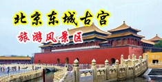 红逼阁中国北京-东城古宫旅游风景区